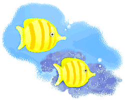 さかなのイラスト